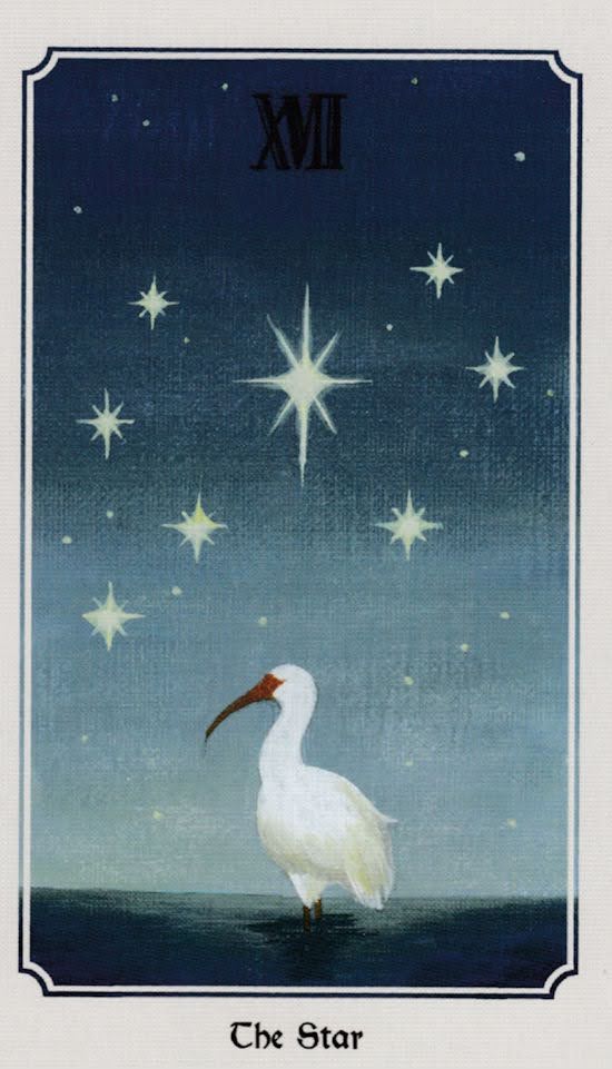 Anima Mundi Tarot